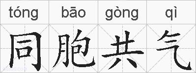 同胞共气的拼音