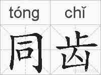 同齿的拼音