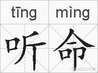 听命的拼音