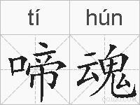 啼魂的拼音