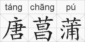 唐菖蒲的拼音