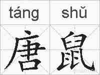 唐鼠的拼音