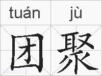 团聚的拼音