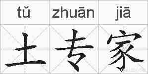 土专家的拼音