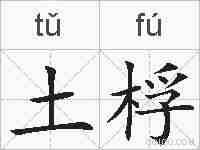 土桴的拼音