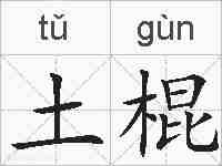 土棍的拼音