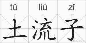 土流子的拼音
