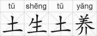 土生土养的拼音