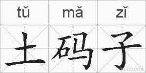 土码子的拼音