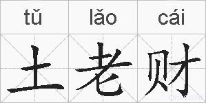 土老财的拼音