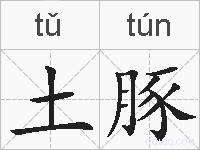 土豚的拼音