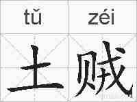 土贼的拼音