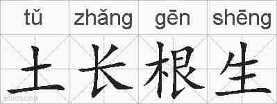 土长根生的拼音