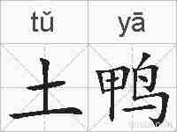 土鸭的拼音