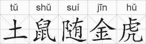 土鼠随金虎的拼音