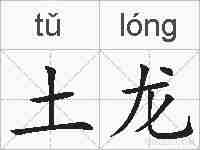 土龙的拼音