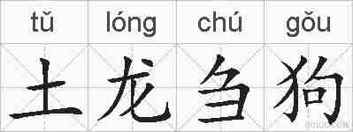 土龙刍狗的拼音