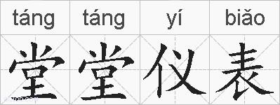 堂堂仪表的拼音