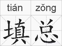 填总的拼音