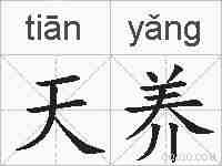 天养的拼音