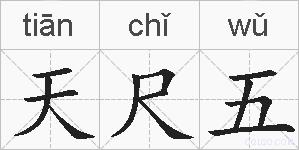 天尺五的拼音