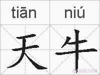 天牛的拼音