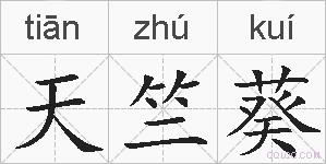 天竺葵的拼音