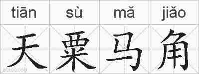 天粟马角的拼音