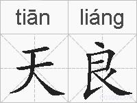 天良的拼音
