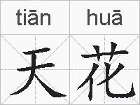 天花的拼音