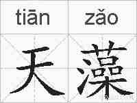 天藻的拼音