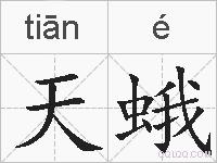 天蛾的拼音
