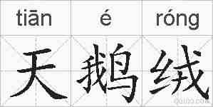 天鹅绒的拼音