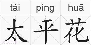 太平花的拼音