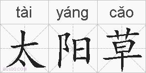 太阳草的拼音