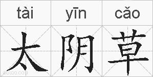 太阴草的拼音