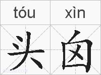 头囟的拼音