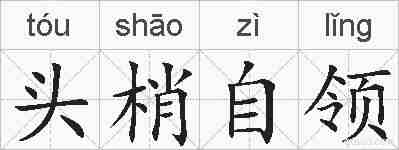 头梢自领的拼音