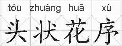 头状花序的拼音