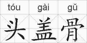 头盖骨的拼音