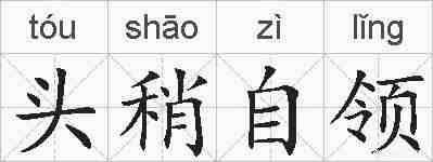 头稍自领的拼音
