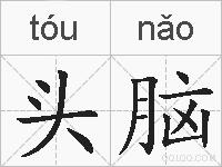 头脑的拼音