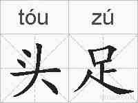头足的拼音