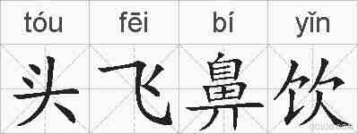 头飞鼻饮的拼音