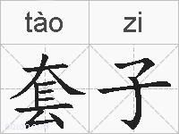 套子的拼音