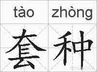 套种的拼音