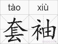套袖的拼音