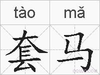 套马的拼音