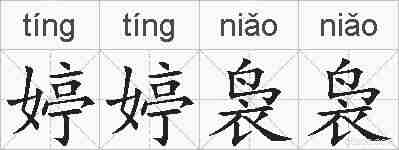 婷婷袅袅的拼音