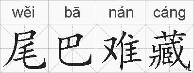 尾巴难藏的拼音